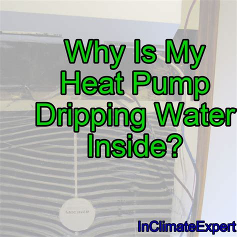 leaking heat pump|Why Your Heat Pump is Dripping Water and How to。